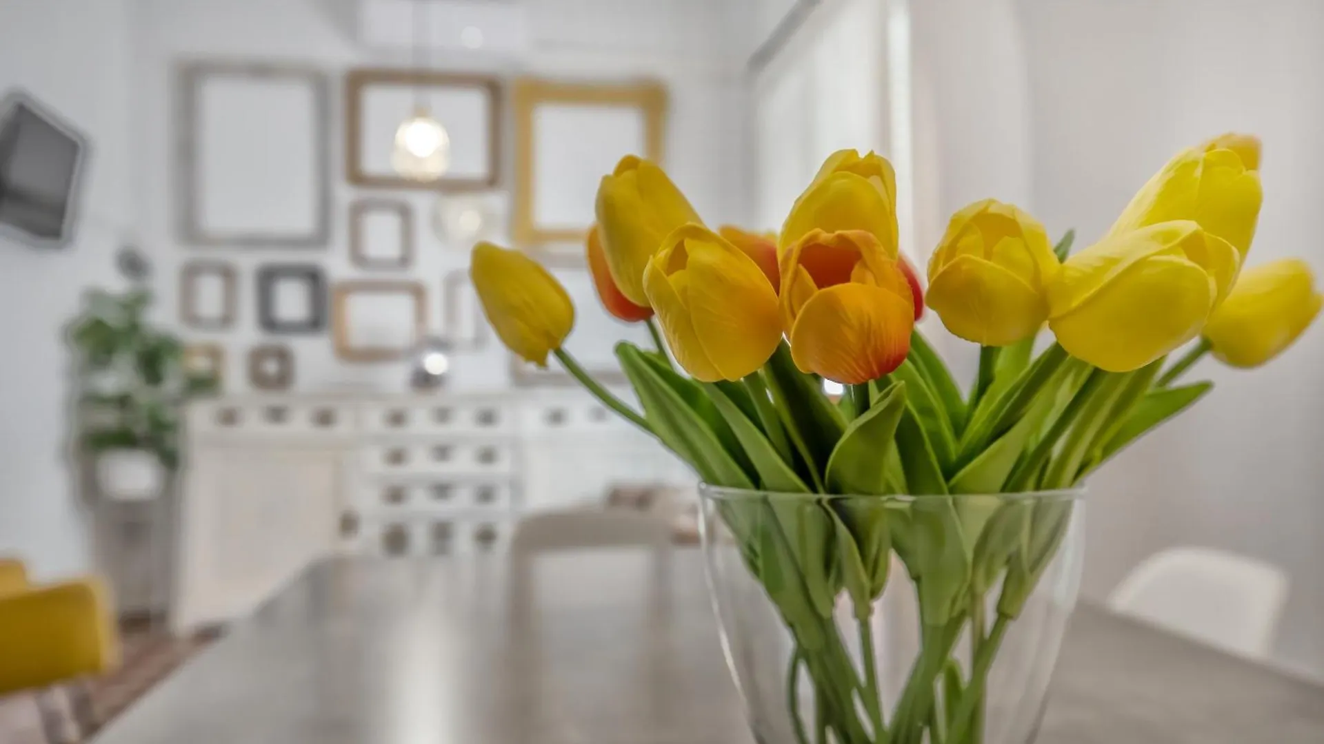 Apartamento Homies Cordoba - Parking Incluido